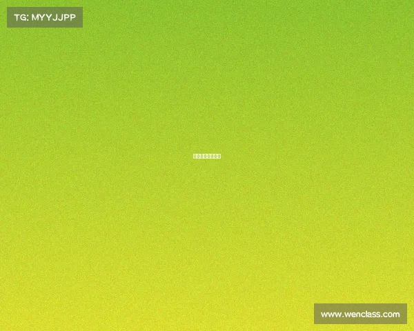 国际散打比赛规则